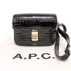 極美品　アーペーセー　グレイス　ショルダーバッグ　クロコ型押し　レザー　ブラックのサムネイル
