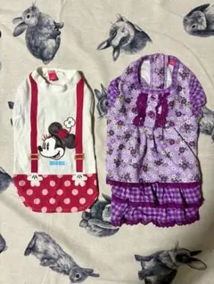 ミニーマウスと花柄ワンピDSサイズのセット