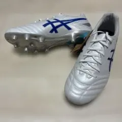 asics DS LIGHT PRO WIDE 27㎝