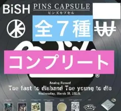 THE ARTIST COLLECTION』BiSH ピンズカプセル 全7種 - メルカリ