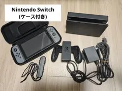 Nintendo Switch グレー 本体 充電器・ドック・ケース付き
