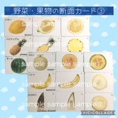 果物断面カード③ 理科教材　家庭学習　小学校受験　知育　視覚支援