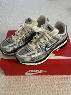 NIKE P-6000 メタリックシルバー 26.5cmのサムネイル