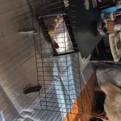 Item thumbnail for item 5614ffe3-6475-466d-8b22-801f7002c7c8