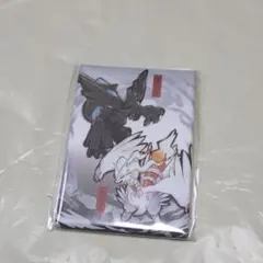 レジェンドリサーチ　マグネット　レシラム　ゼクロム