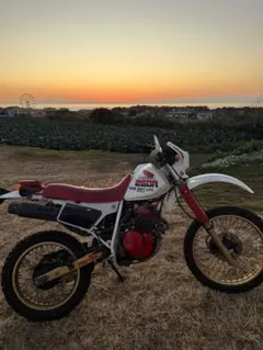 即購入禁止 ホンダ XR250 1985モデル 実動 書類あり - メルカリ
