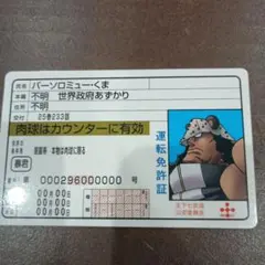 Item thumbnail for item 91da58bf-5cee-49aa-a618-3dabc9ea369e