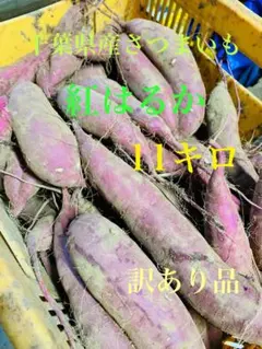 ふみたろう様専用　千葉県産さつまいも　紅はるか11キロ　訳あり熟成品