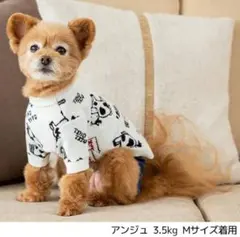 Item thumbnail for item 4509de31-0a2a-4b7e-8dc0-2b448e9b00b0