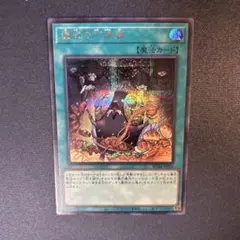 2026年最新】儀式の下準備の人気アイテム - メルカリ