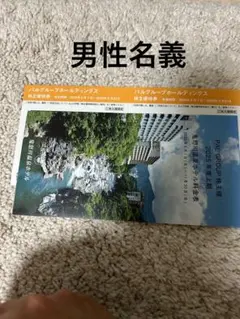 パルグループ株主優待　２枚セットのサムネイル