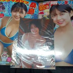 STARDOM スターダム Bikiniing 岩 谷麻優宝城カイリ 直筆サイン - メルカリ