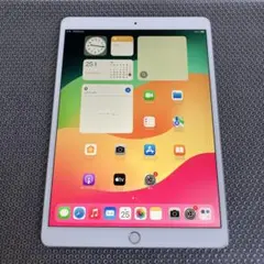 2026年最新】iPad Pro 10.5 Wi-Fi Cellular 256GB SIMフリーの人気