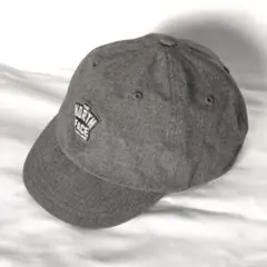 THE NORTH FACE グレー ザノースフェイスショートブリムキャップ