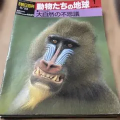 2026年最新】週刊朝日百科 動物たちの地球の人気アイテム - メルカリ