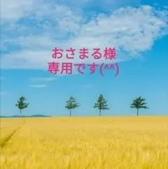 おさまる様　専用です