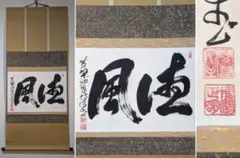 臨済宗大徳寺塔頭玉林院前住職 森洞雲自筆二字横物『白雲』掛軸（共箱