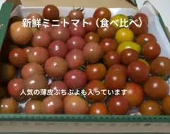 新鮮ミニトマトミックス詰合せのサムネイル