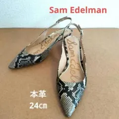 Item thumbnail for item 0b6098c9-980a-431e-a890-93f38a4d1daf