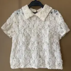 ZARAアイボリー 花柄レース 襟付き半袖トップス