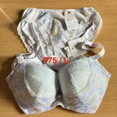 ワコール Wacoal リボンブラ ショーツセット f75 Lサイズ