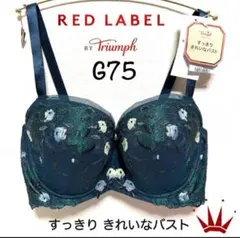 ＊G75 レッドレーベル バイ トリンプ0104 ブラ単品Greenのサムネイル