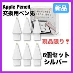 6個☘️ Apple Pencil ペン先 交換用 金属製 アップルペンシル