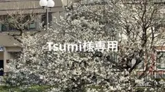 Tsumi様専用