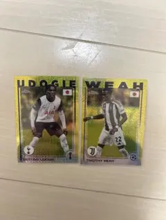 Item thumbnail for item d371d1d9-d76e-412e-807d-edd0f077ac30