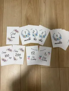 Item thumbnail for item 10e80d4d-d771-4965-8486-801ba1acc191