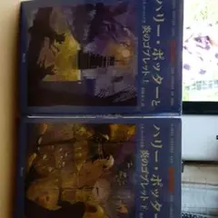 ハリー・ポッターシリーズと炎のゴブレット(上)(下)