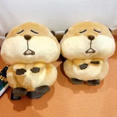 私がビーバーになる時 ローフ &you マスコット　ローフ 2体セット