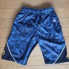 Item thumbnail for item 85fe8427-cb12-4386-bb94-53775b1ea5dc