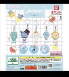 JOCHUM めじるしアクセサリー 1&2 11種類コンプリート