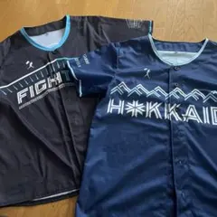 we love hokkaido ユニフォーム