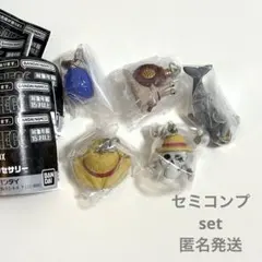 ワンピース めじるしアクセサリー セミコンプ