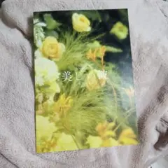 美しい彼 eternal　パンフレット