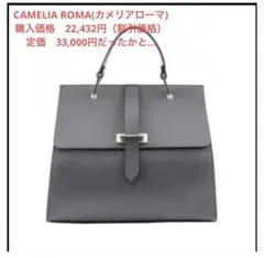 値下げ‼︎通勤バッグ　CAMELIA ROMA 2way