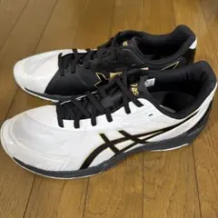 Item thumbnail for item 2d54cbab-92cf-40c0-a9f0-ecda6b33bf4b