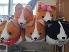 2026年最新】いちにのコーギーの人気アイテム - メルカリ