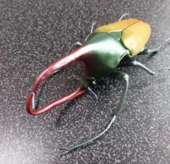 いきもの大図鑑かぶとむし09 カブトハナムグリ(イエロー)