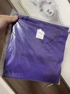 紫色 綿100%無地Tシャツ