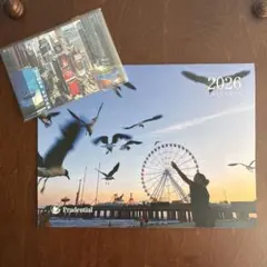 Item thumbnail for item c136a84c-8635-46d2-a9e9-d907e23f5737