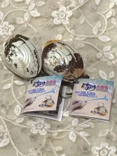 あさり　水鉄砲キーホルダー2個セット