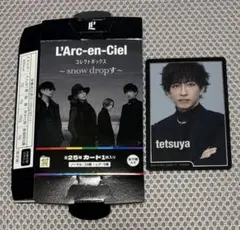 L'Arc~en~Ciel　snow dropす　I
