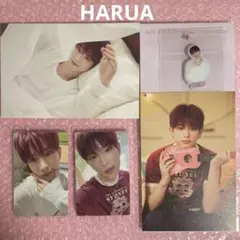 &TEAM シーグリ ハルア