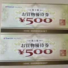 YAMADA HLDGS. お買物優待券 ¥500 2枚
