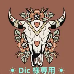 Dic 様　専用