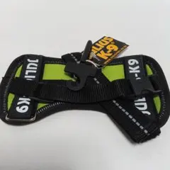 Item thumbnail for item 1d829bab-f417-4492-8e3a-4be69b33837c