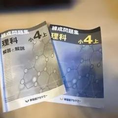 早稲田アカデミー6年理科　マスターテキスト/錬成問題集　7冊　2023年度　中古 2025年最新】錬成問題集 小6の人気アイテム - メルカリ